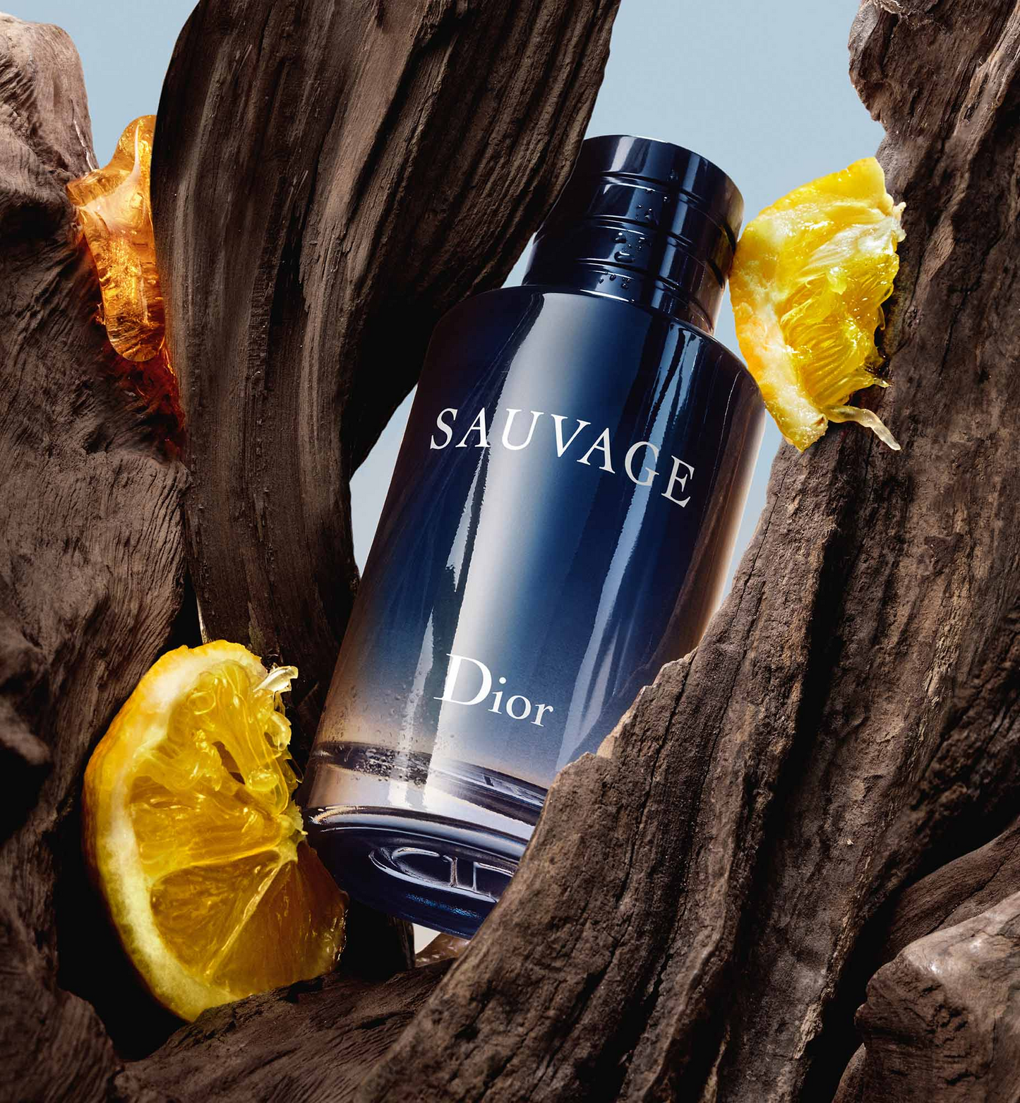 DIOR SAUVAGE EAU DE TOILETTE